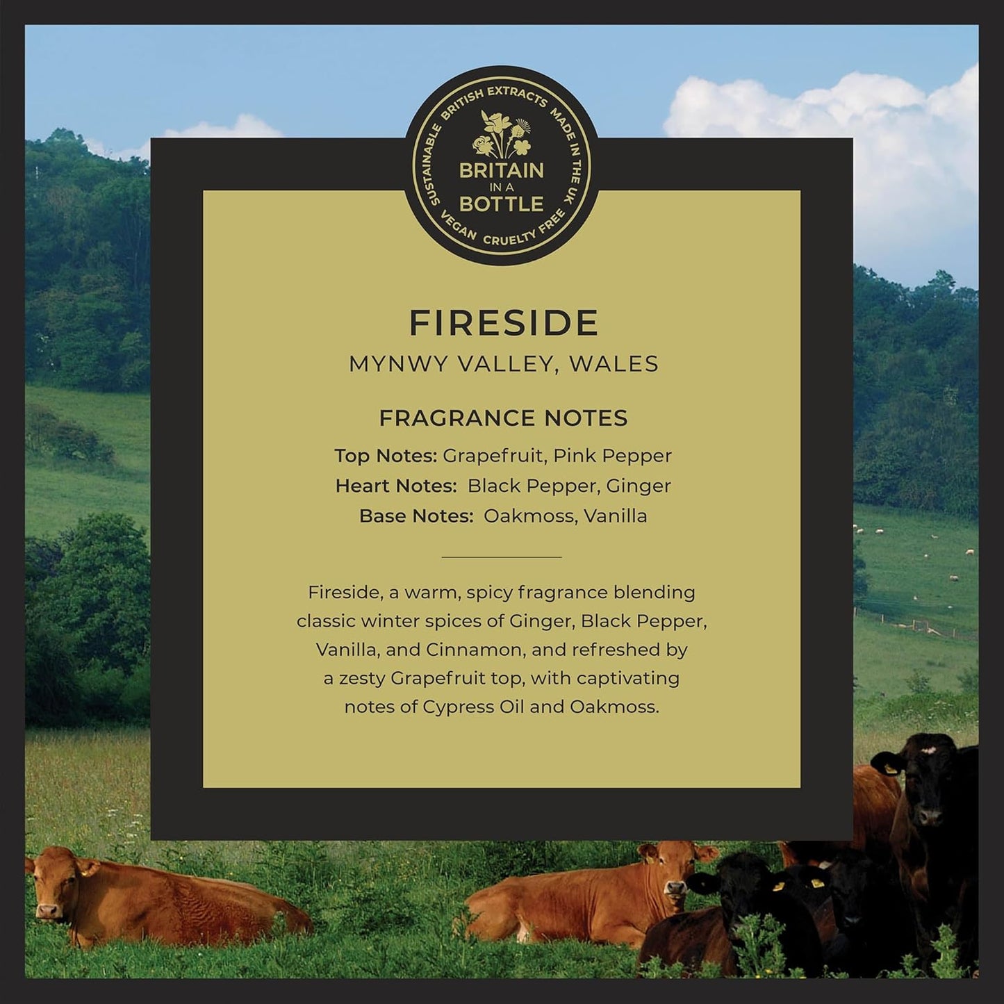 Summer Rising Lotion (Dry Skin),Luxury Body Lotion