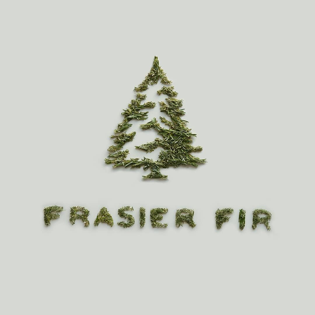 Frasier Fir Candle - Gilded Collection - Wood Grain Ceramic Design with 24-Karate Gold Rim - Mountain Fresh Fragrance  (Petite, 6 Oz)
