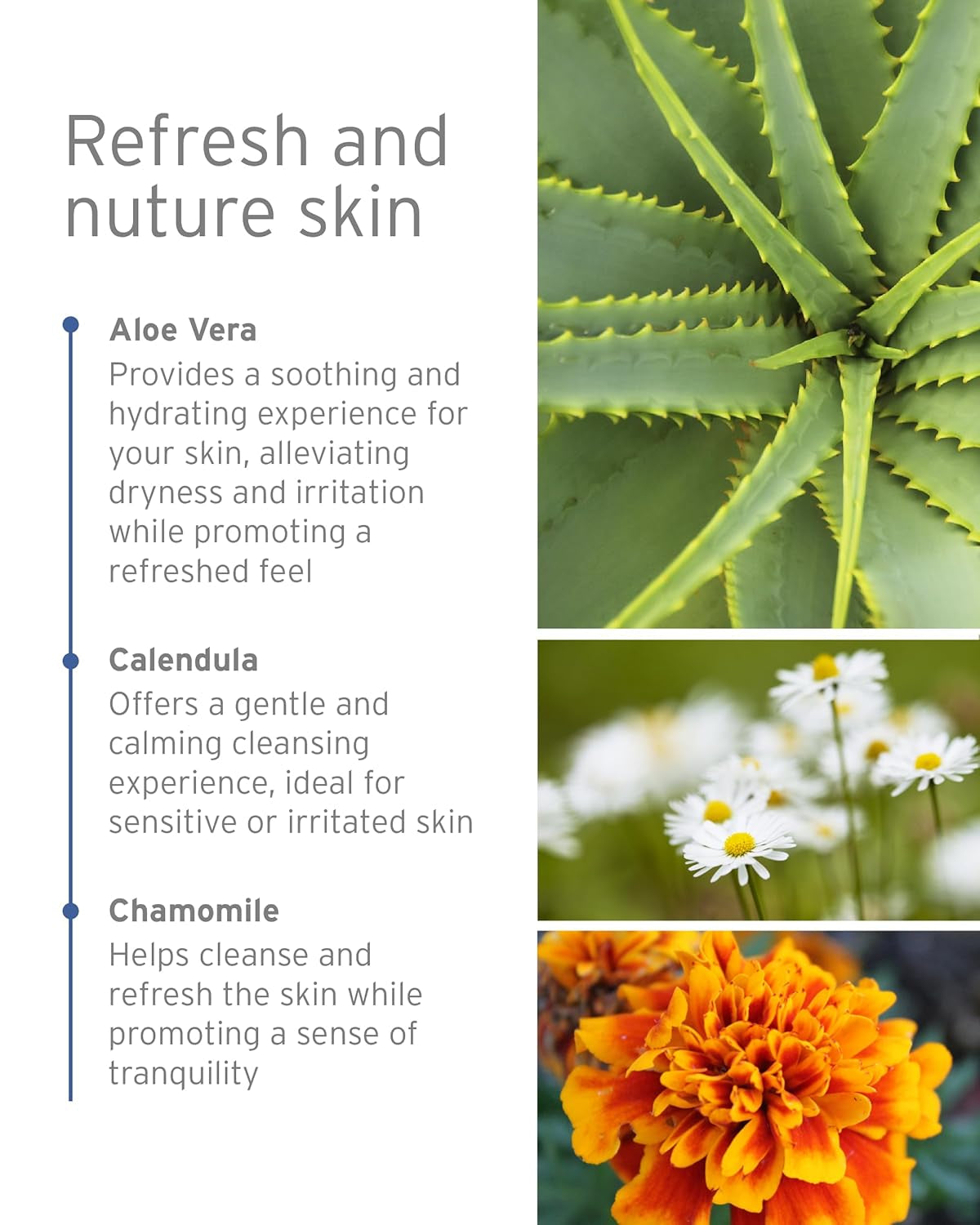 Chamomile Shower and Bath Gel | Aromatherapy Body Wash (13.5 Fl Oz)