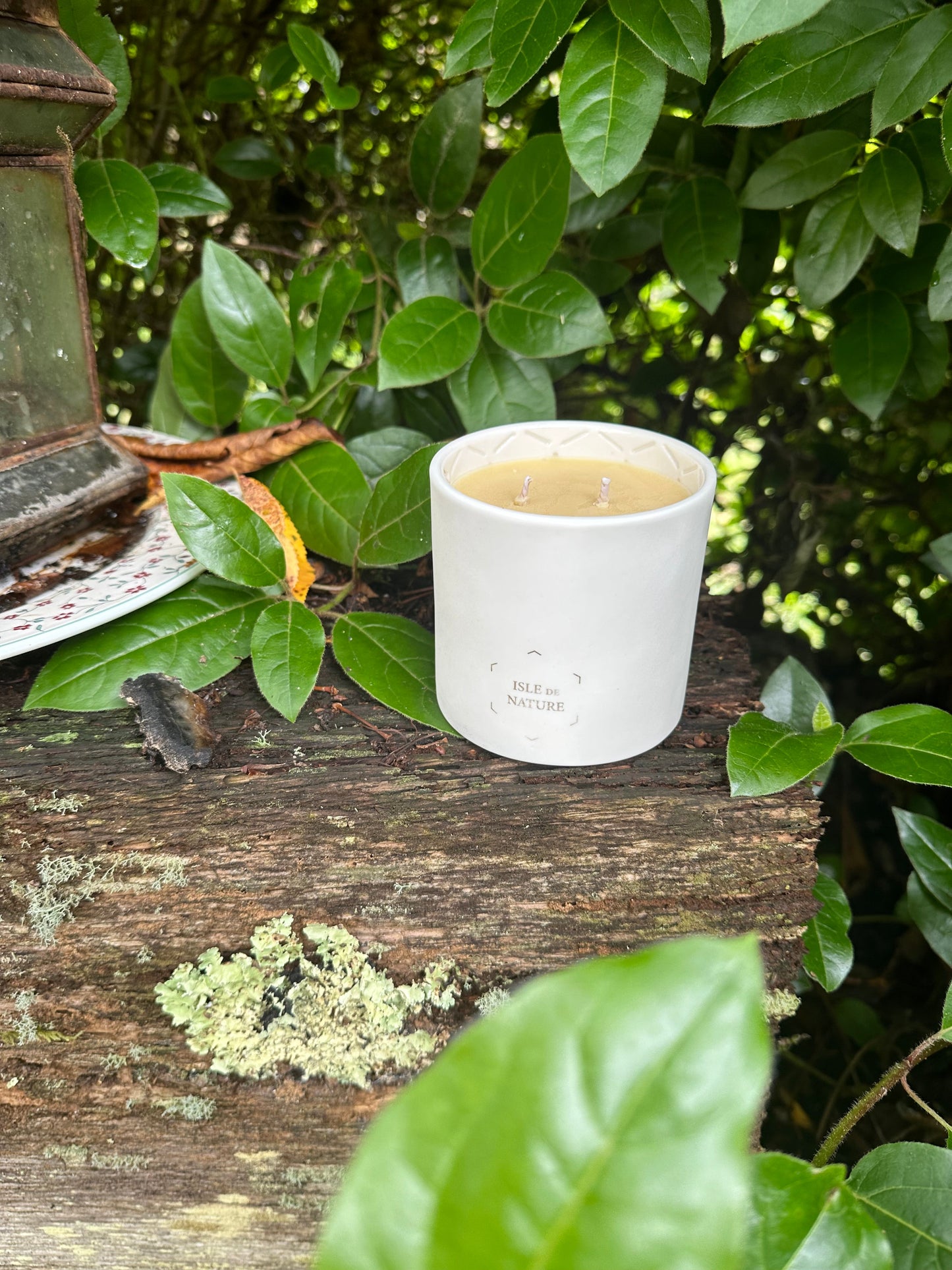 Pagua Bay Fragrance Luxury Beeswax Candle-2