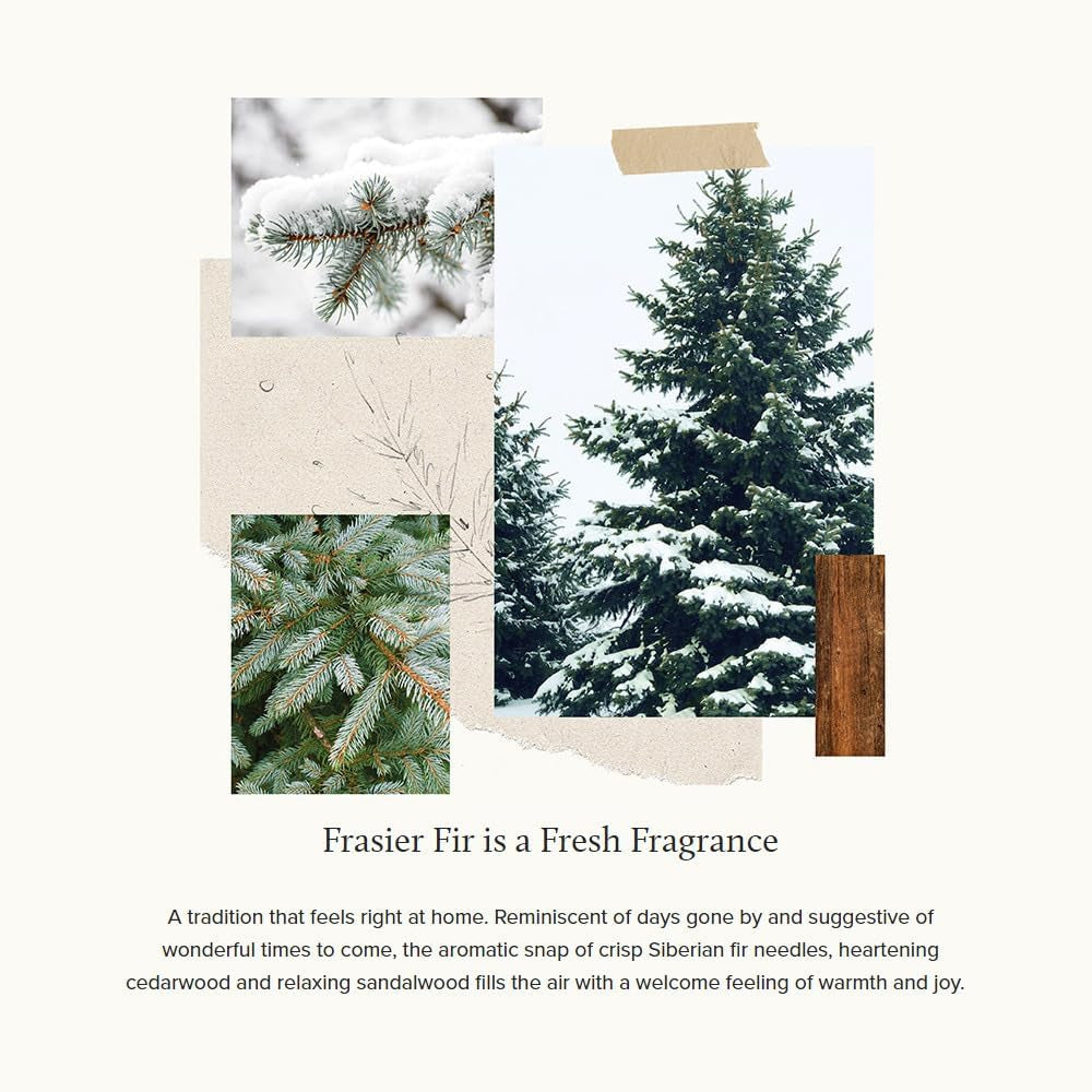 Frasier Fir Candle - Gilded Collection - Wood Grain Ceramic Design with 24-Karate Gold Rim - Mountain Fresh Fragrance  (Petite, 6 Oz)